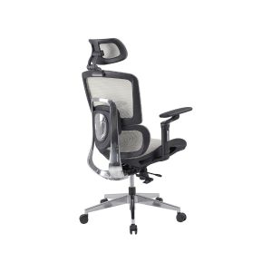 ghế công thái học GLE12-1