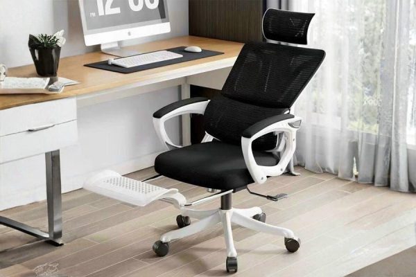 ghế công thái học