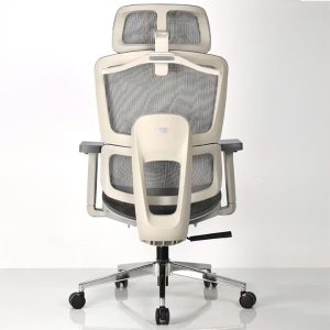 ghế công thái học A548