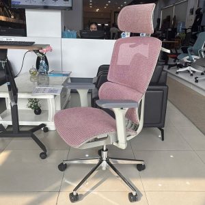 ghế công thái học A548