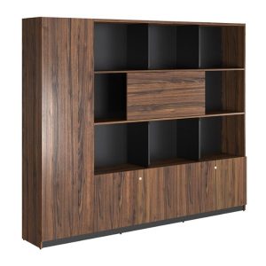 tủ giám đốc LUXT2420V9