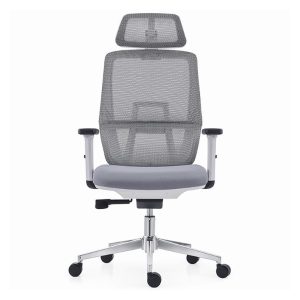 Ghế công thái học A537-1