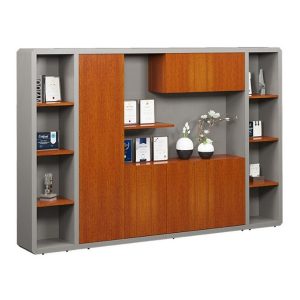 Tủ lãnh đạo DC3040V22